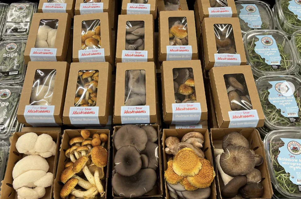 Health Benefits with Four Star Mushrooms