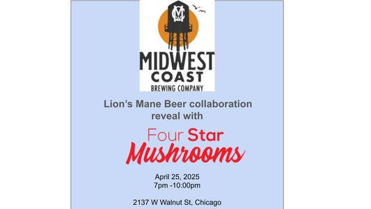 Discover the best Lion's Mane Beer - Roof Top Party!