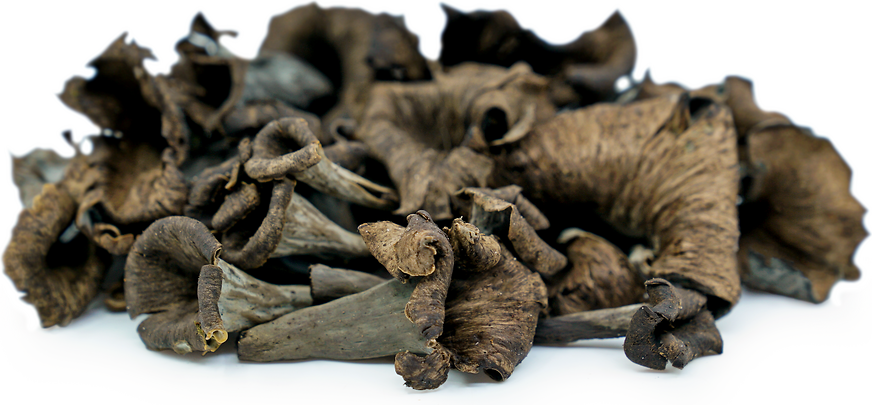 Black Trumpet Mushroom - PNW - per lb