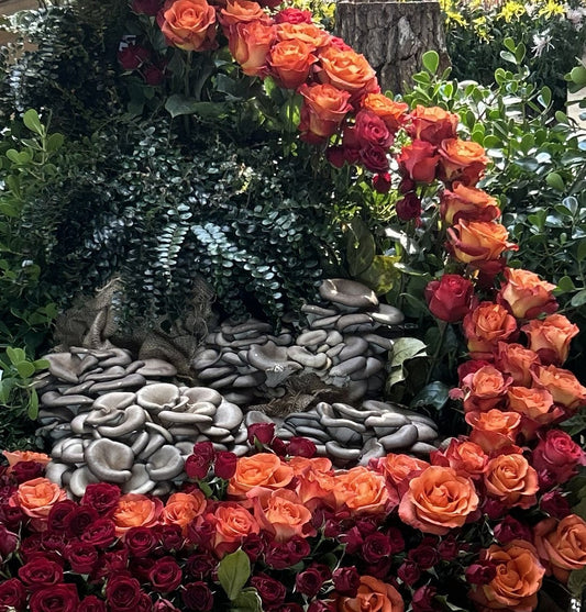 The Last Show from the Chicago Botanic Garden