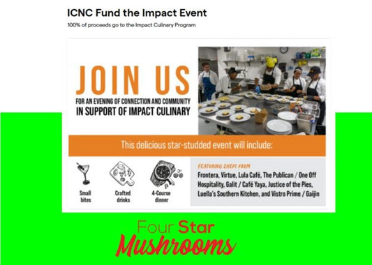 ICNC "Fund the Impact" Event