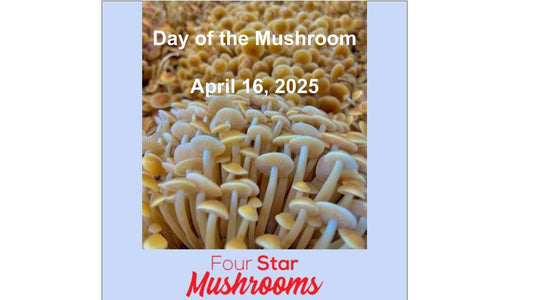 Day of the Mushroom