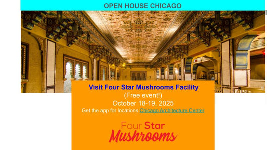 Open House Chicago