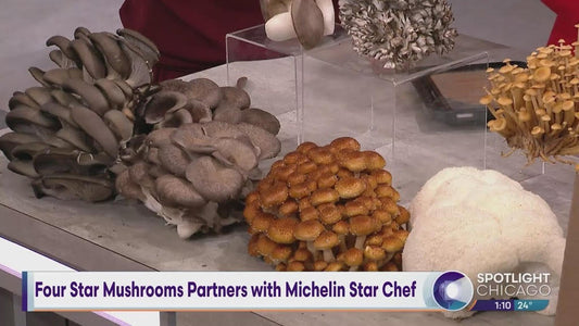 Four Star Mushrooms Partners with Michelin Star Chef