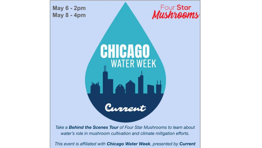 Chicago Water Week presented by Current