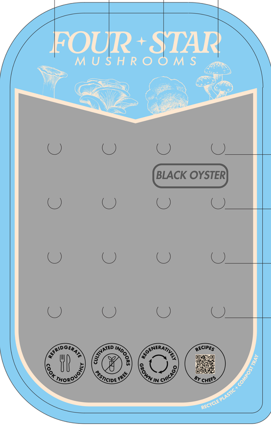 Black Oyster Punnet 6.5oz