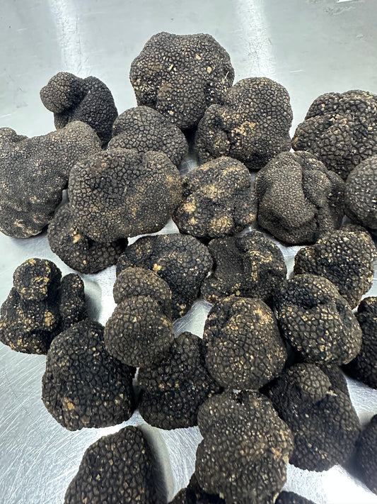 Burgundy Truffle (Tuber aestivum) - ITALY - per oz